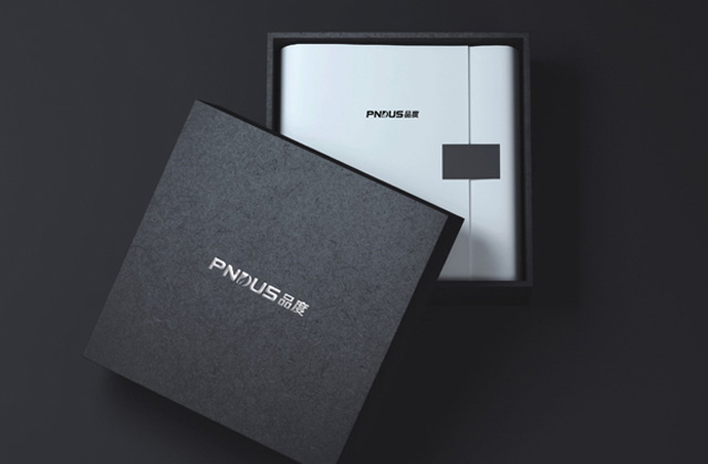 PNDUS | 策劃標志設計