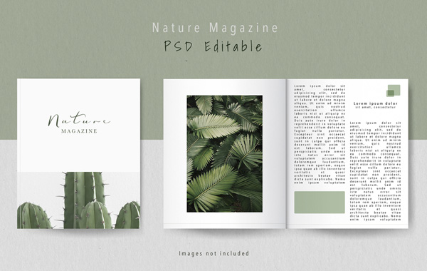 新手做畫冊設計有哪些需要注意的問題